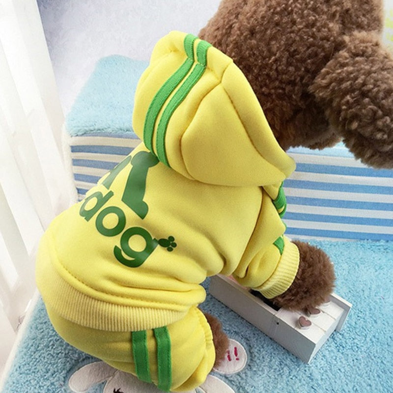 Roupa Moletom Para Cachorro - GosteiQuero