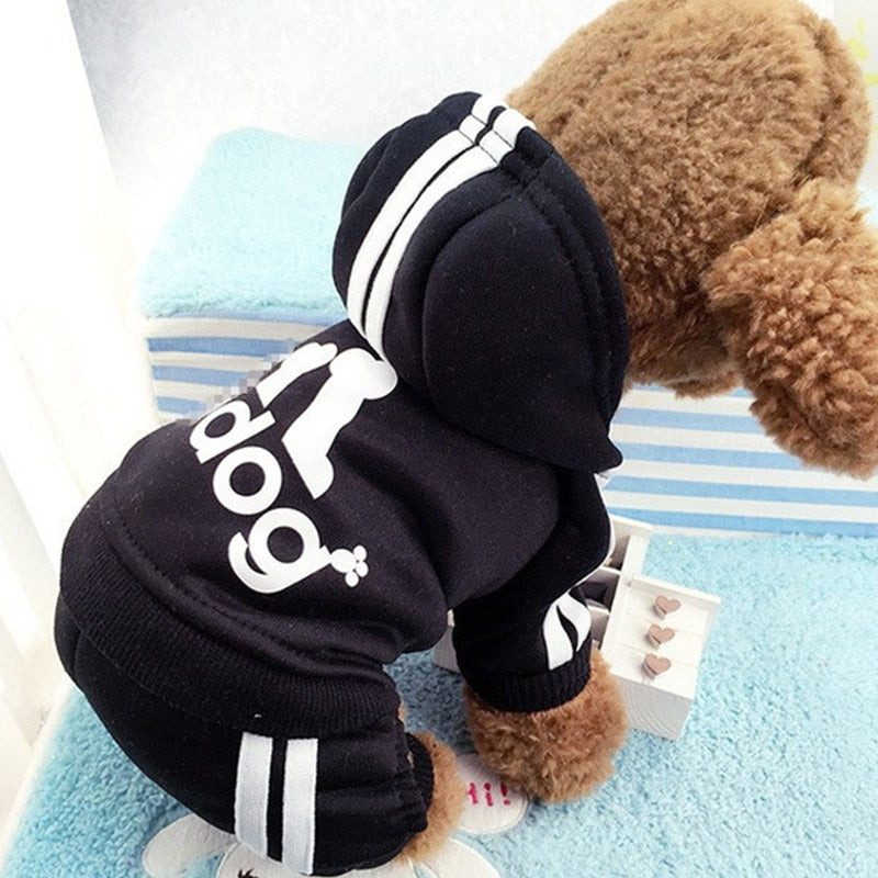 Roupa Moletom Para Cachorro - GosteiQuero