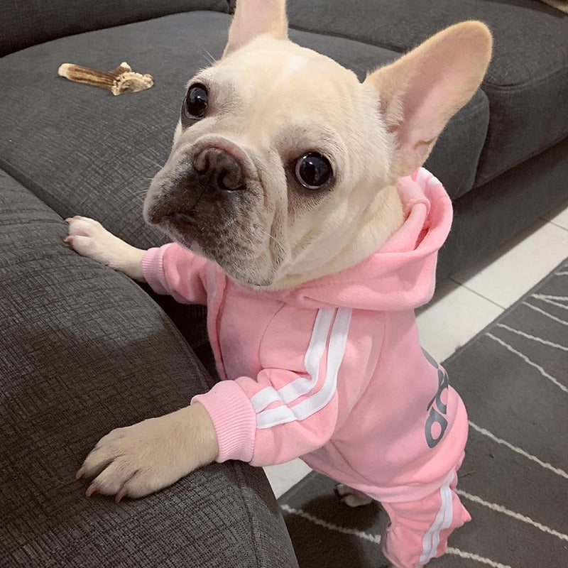 Roupa Moletom Para Cachorro - GosteiQuero