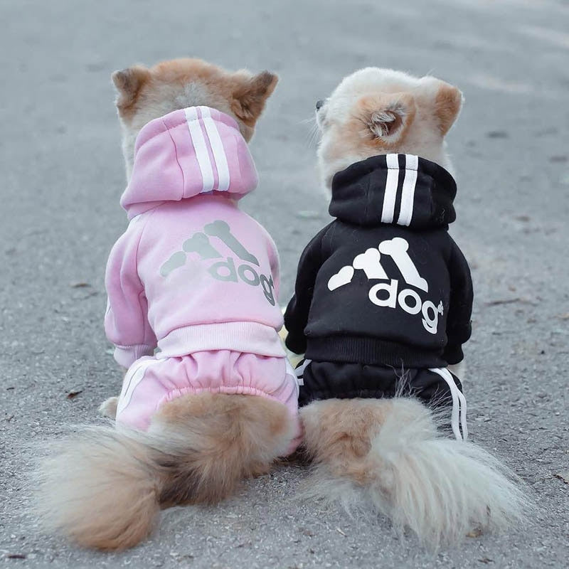 Roupa Moletom Para Cachorro - GosteiQuero
