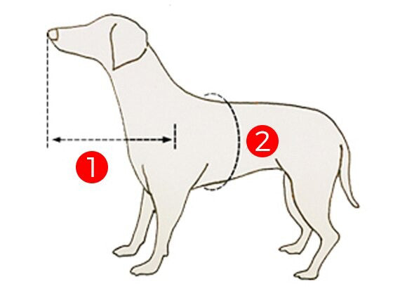 Coleira Guia Para Cão Cego - GosteiQuero