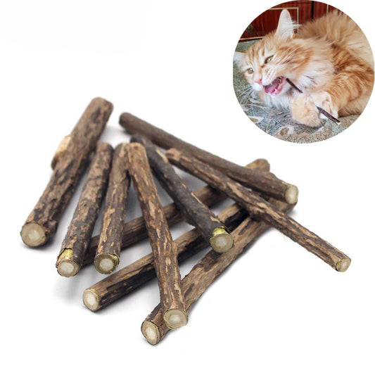 Sticks de Catnip Para Limpeza dos Dentes do Gato - GosteiQuero