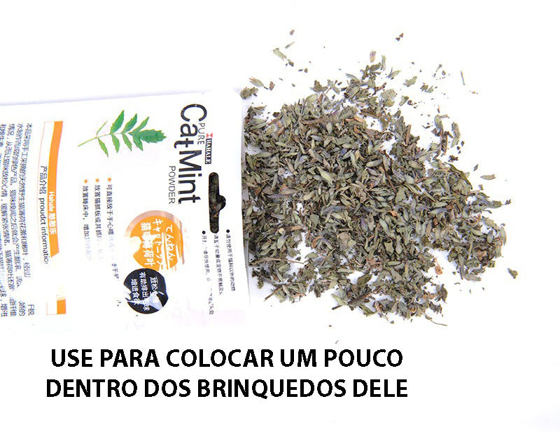 Catnip 100% Natural - 5 Gramas - GosteiQuero