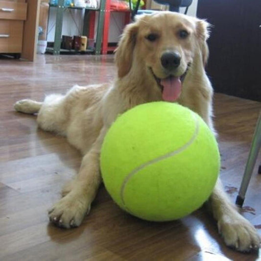 Bola de Tênis Gigante Para Cachorro - GosteiQuero