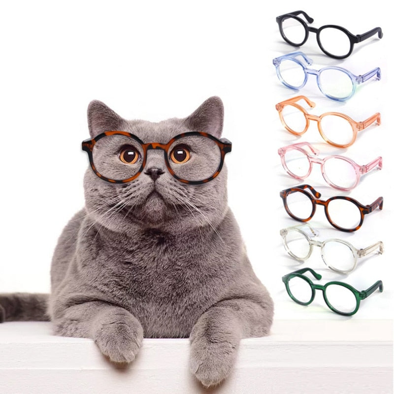 Óculos Para Gato e Cachorro - GosteiQuero