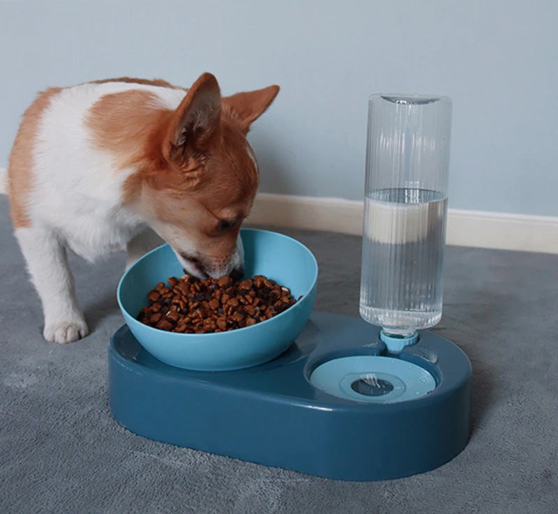 Bebedouro e Comedouro Para Cães e Gatos Com Inclinação - GosteiQuero