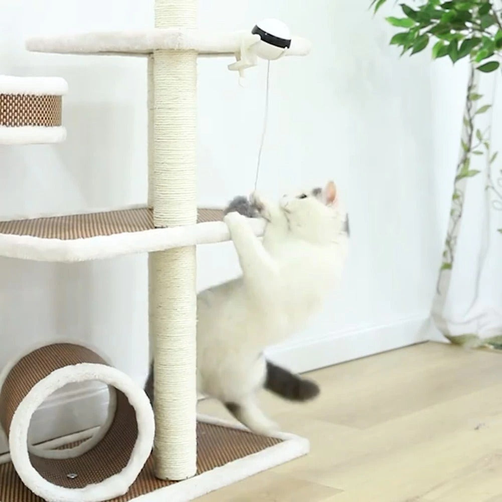 Brinquedo de gato interativo inteligente, Brinquedos interativos  inteligentes para gatos - Bola giratória de 360 ​​graus para gatos,  brinquedos para animais de estimação recarregáveis ​​USB, Mastera