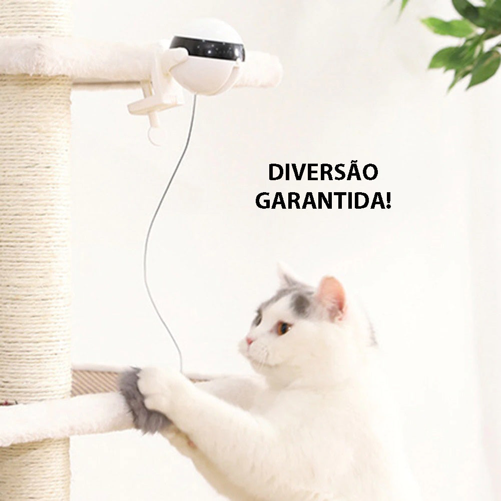 Brinquedo de gato interativo inteligente, Brinquedos interativos  inteligentes para gatos - Bola giratória de 360 ​​graus para gatos,  brinquedos para animais de estimação recarregáveis ​​USB, Mastera