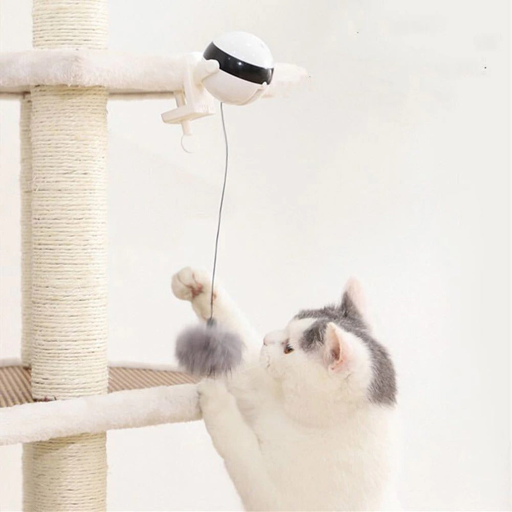 Brinquedo de gato interativo inteligente, Brinquedos interativos  inteligentes para gatos - Bola giratória de 360 ​​graus para gatos,  brinquedos para animais de estimação recarregáveis ​​USB, Mastera