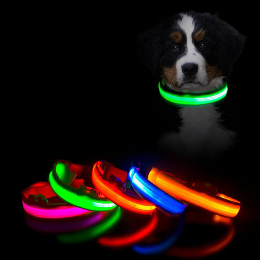 Coleira de LED Para Cães - GosteiQuero