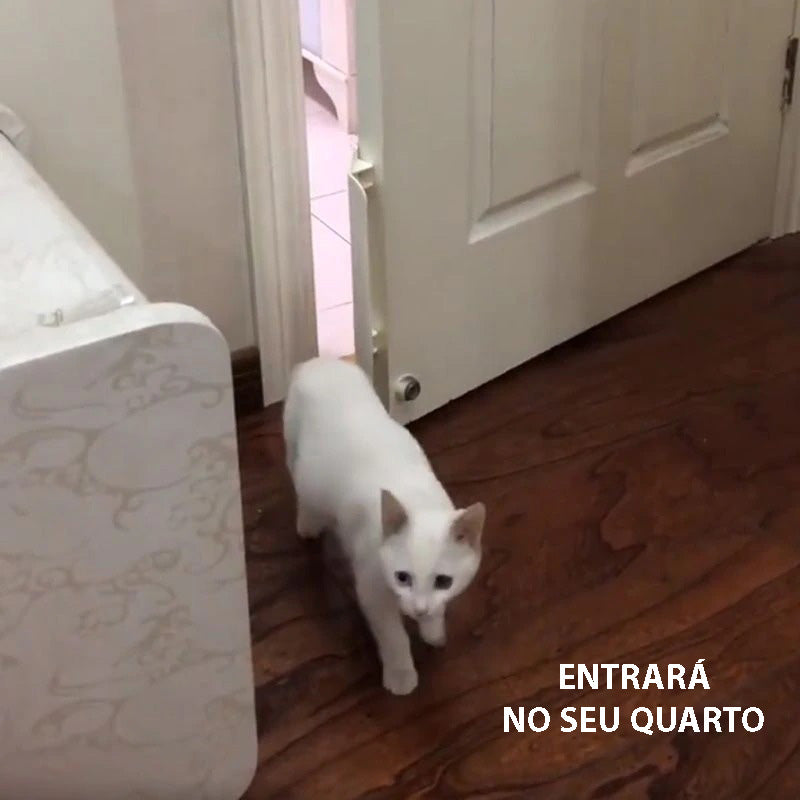 Controlador de Entrada de Porta Para Gatos - GosteiQuero
