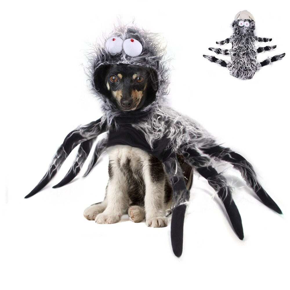 Fantasia de Aranha Para Cães - Cão Aranha - GosteiQuero