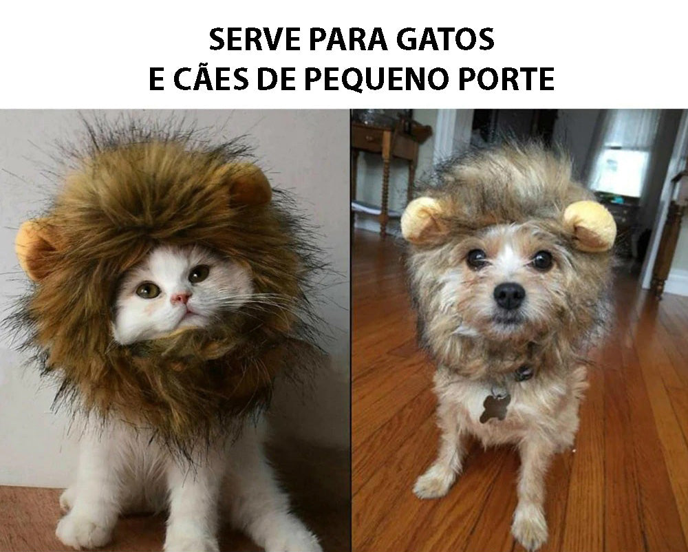 Fantasia de Leão Para Cães e Gatos - GosteiQuero
