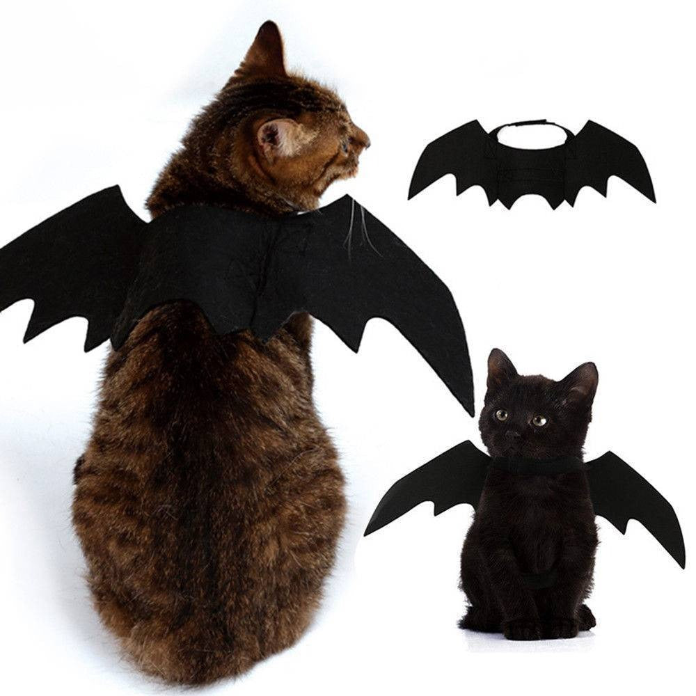 Fantasia de Morcego Para Gato - GosteiQuero