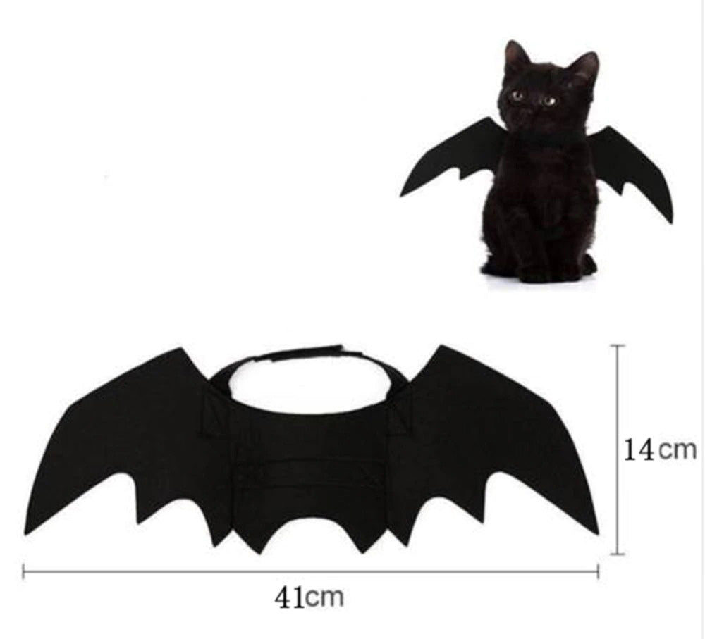 Fantasia de Morcego Para Gato - GosteiQuero