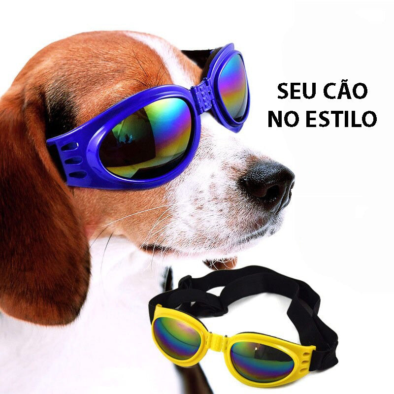 Óculos de Sol Com Alça Para Cães - GosteiQuero