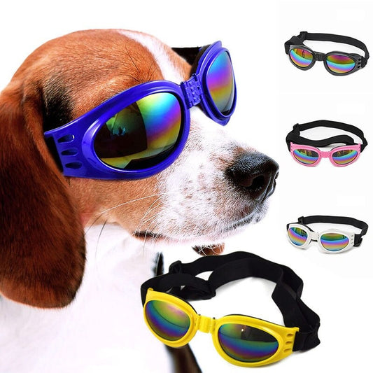 Óculos de Sol Com Alça Para Cães - GosteiQuero