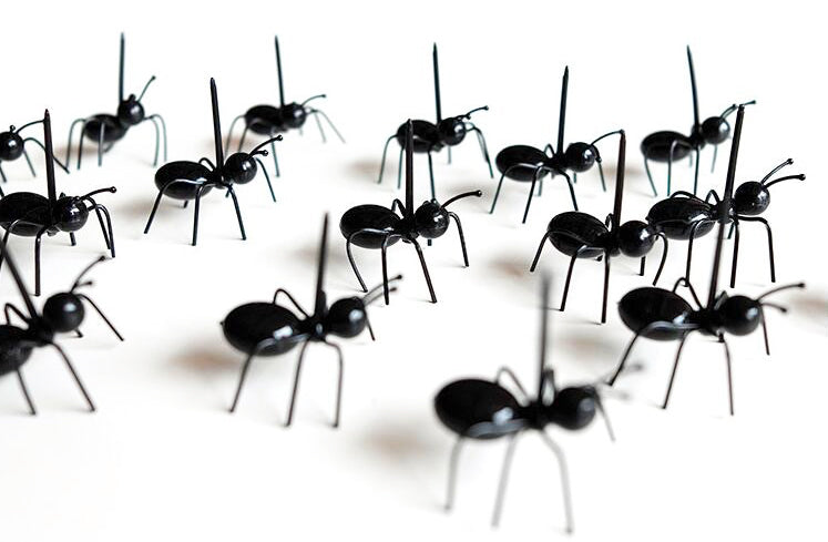 Palito Para Petisco Formigas - 12 Unidades